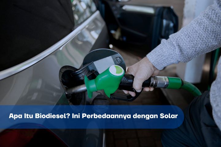 Apa Itu Biodiesel