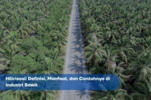 Hilirisasi: Definisi, Manfaat, Dan Contohnya Di Industri Sawit | Arvis